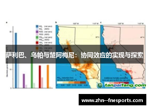 萨利巴、乌帕与楚阿梅尼:协同效应的实现与探索 萨利巴、乌帕与楚阿梅尼:协同效应的实现与探索