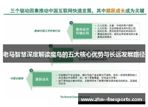 老马智慧深度解读魔鸟的五大核心优势与长远发展路径