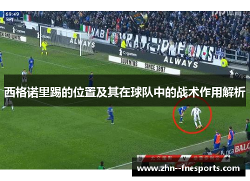 西格诺里踢的位置及其在球队中的战术作用解析
